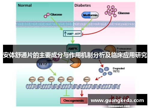 安体舒通片的主要成分与作用机制分析及临床应用研究